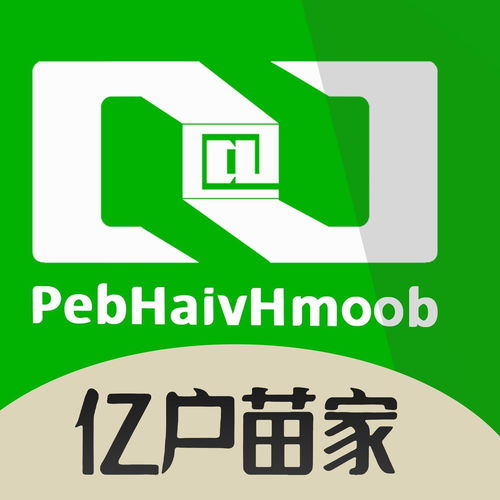云南億戶苗家信息技術有限公司 深耕經濟信息咨詢，助力區域發展